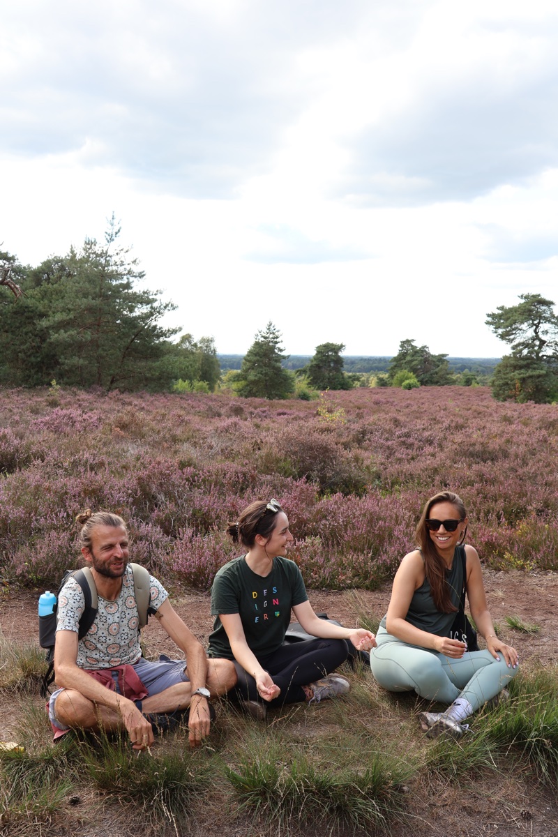 Friends resting on the heath during a hike
